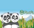 Panfu panda dünya